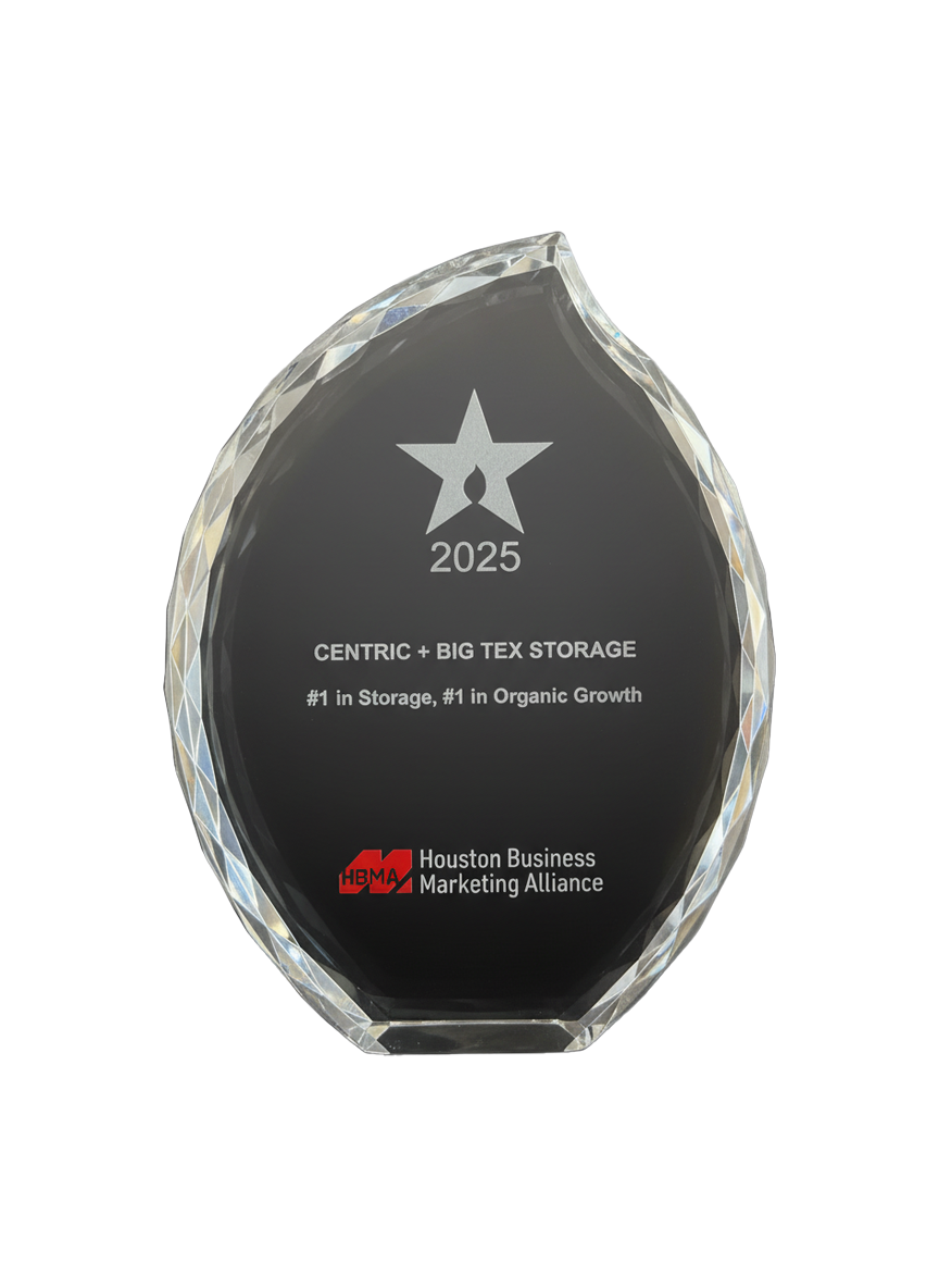 SEO & AI Search Dominance