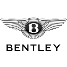 Drive Digital. Accelerate Growth. Dominate the Road.icon