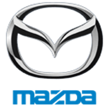 Drive Digital. Accelerate Growth. Dominate the Road.icon