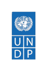 Empowering Non-Profits Through Digital Transformationicon